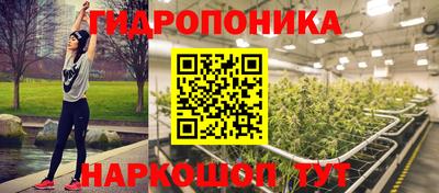 не бодяженный Бийск
