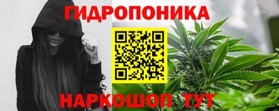 не бодяженный Бийск