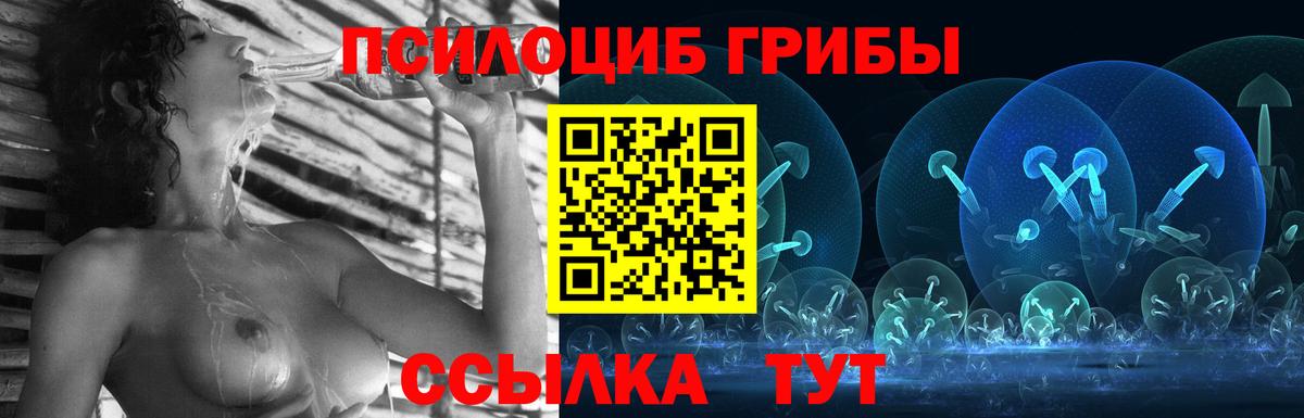 Керчь  Галлюциногенные грибы Magic Shrooms  Вход с VPN  Псилоцибиновые грибы прущие грибы 
